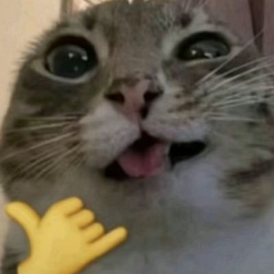 girlbossjuliaa's profile picture