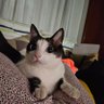 osas profil fotoğrafı