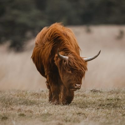 hunterG36675813's profile picture