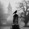 Gothic Maiden profil fotoğrafı
