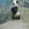 ともなり 的头像