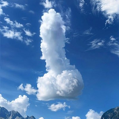 colitiaphari10's profile picture
