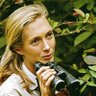 Misanthropologist's profile picture