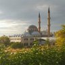 Фото профиля yani
