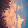 Фото профиля jess