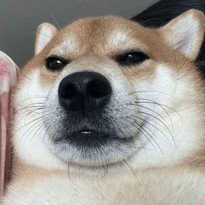 chaoren10086666's profile picture
