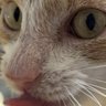 Moogl profil fotoğrafı