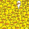 Quilla Buckley's profile picture