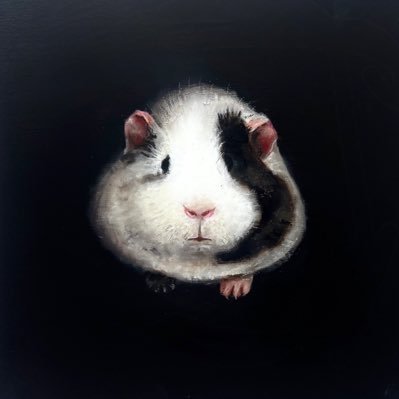 Kotone's profile picture