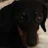 Helenc23 profil fotoğrafı