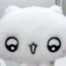 崩's profile picture