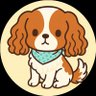もっち's profile picture