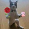 7Xzavier7's profile picture