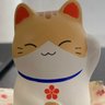 chiiko's profile picture