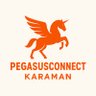 pegasusconnect's profile picture