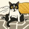 bepo's profile picture