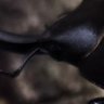 Фото профиля トシや