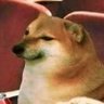 SoulKing's profile picture
