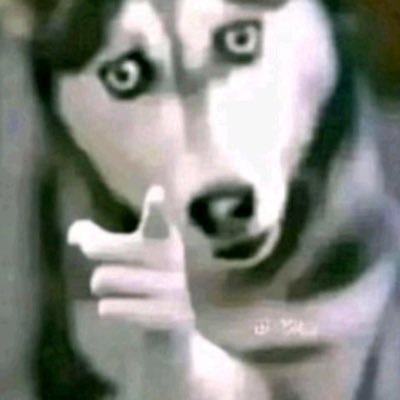 bao's profile picture