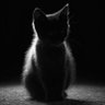 علوية … 🌺🕯️ profil fotoğrafı