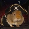 Покемон Пират's profile picture