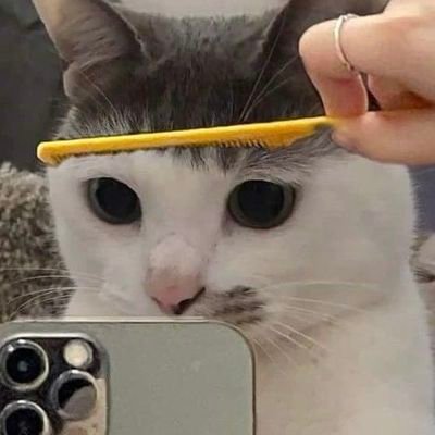 𝕆𝕕𝕖's profile picture