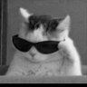 وليد's profile picture