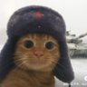 Davin 的头像