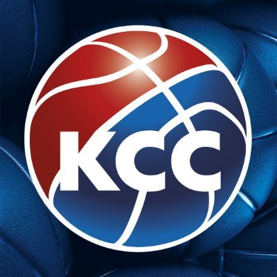 KSSrbije's profile picture