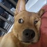 zyf profil fotoğrafı