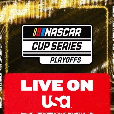 NASCAR's profile picture