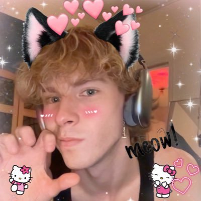 internethippo69's profile picture