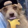 xTheKidx's profile picture