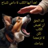 Profilbild von tawfike didi