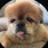 J Kim profil fotoğrafı