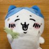 いいカモ—共產黨、左膠、穆斯林、沙文莮、歲靜婊滾's profile picture