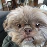 Yoely's profile picture