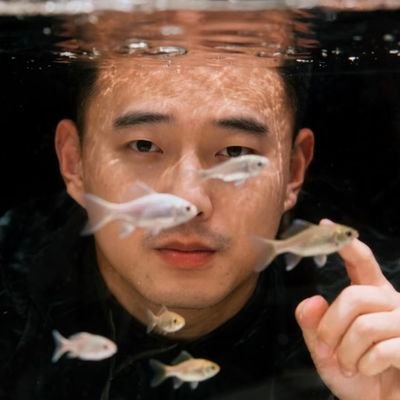 wzas258's profile picture