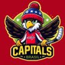 Capitals Brasil 🇧🇷🏒 的头像