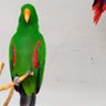 Shamanth profil fotoğrafı