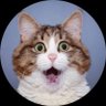 モモンガ's profile picture