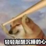 bibidong 的头像