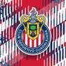 Raúl Cornejo profil fotoğrafı