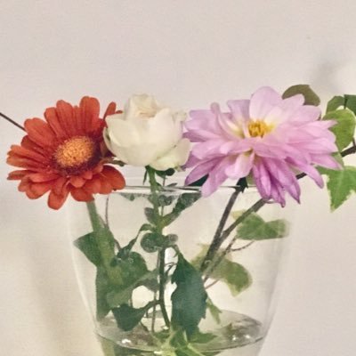 asmknysy's profile picture