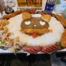 Profilbild von キノクマ