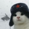 Qin Jiu profil fotoğrafı