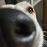 chucy profil fotoğrafı