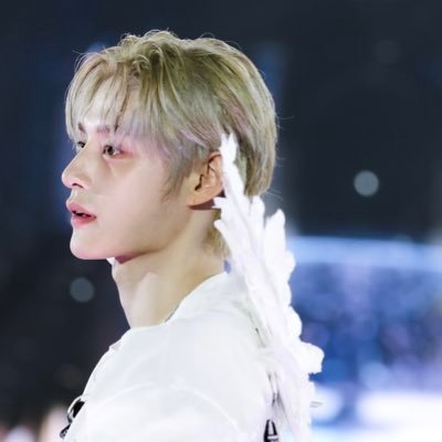 helianthus_kjw's profile picture