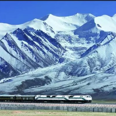 Daniel Fang's profile picture