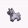 Birch_the_poochyena profil fotoğrafı